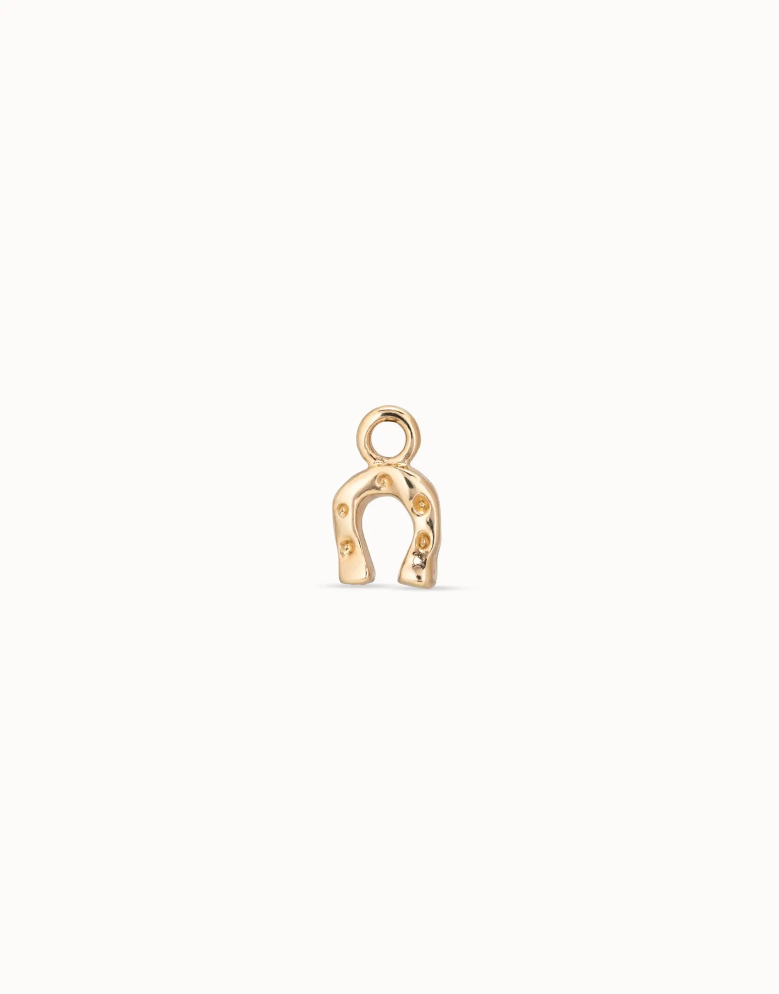 Horseshoe Single Hoop Charm