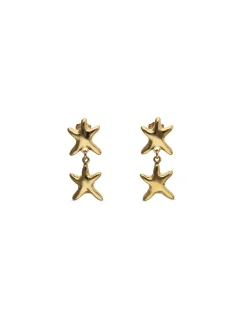 Long earrings with 2 starfishes