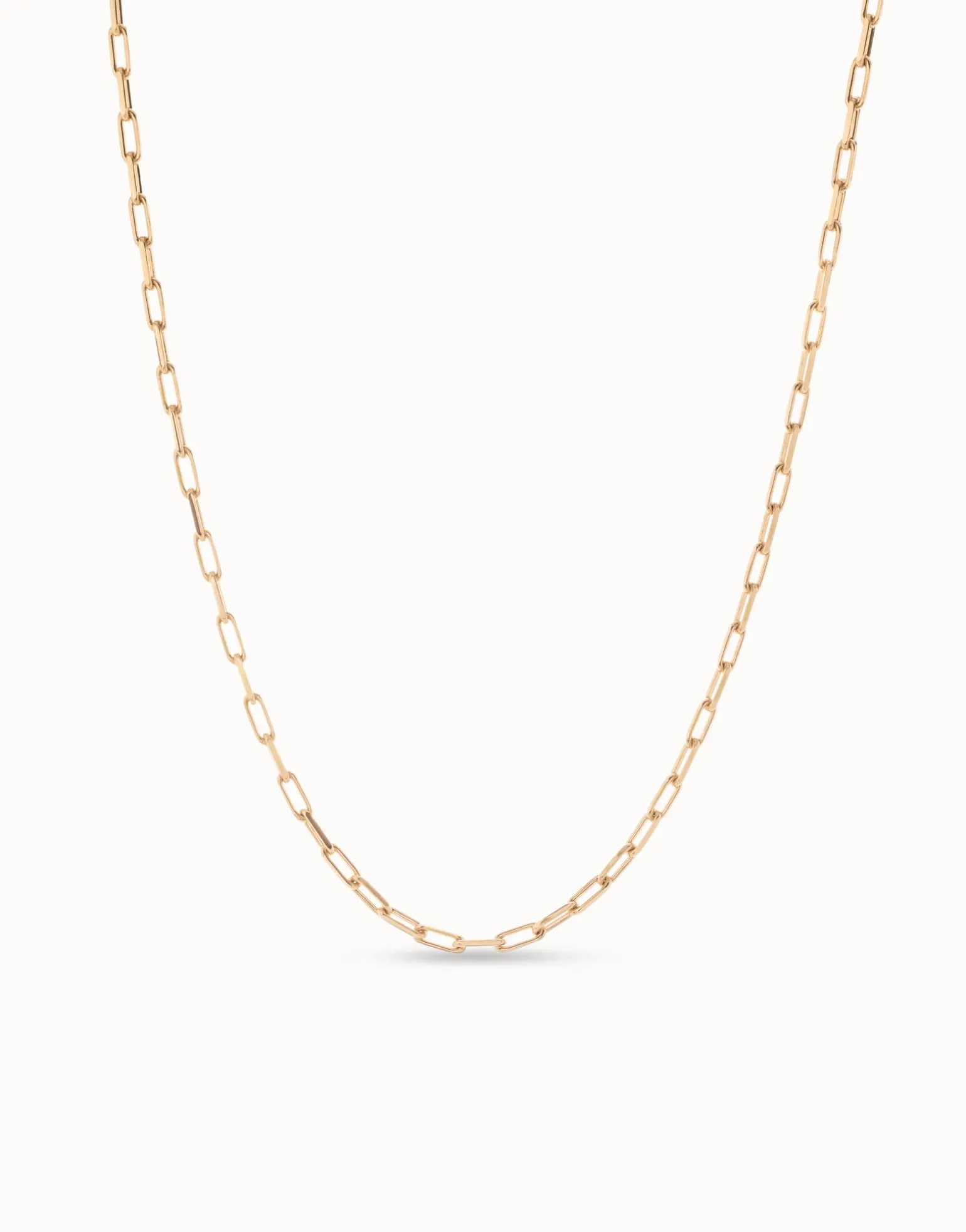 Long link chain charm necklace