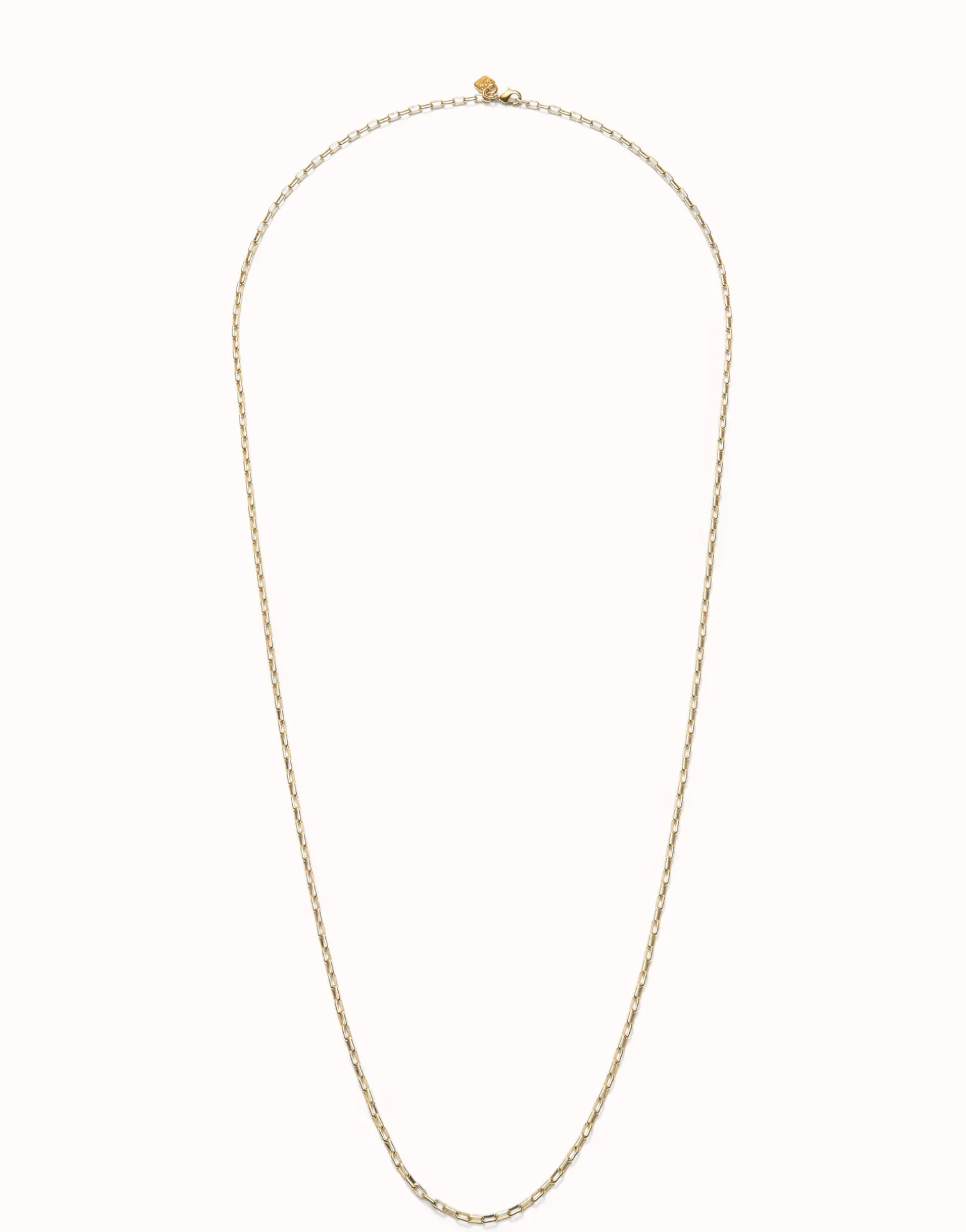 Long link chain necklace